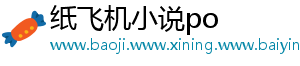 纸飞机小说po